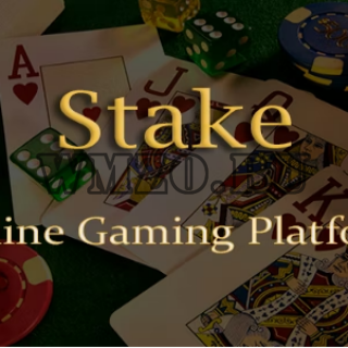 Скрипт Stake v1.12.0 - Online Casino Gaming Platform | Laravel Single Page Application | PWA