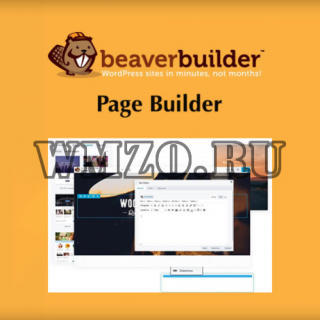 Beaver Builder Pro v2.6.2.2 - конструктор страниц для WordPress