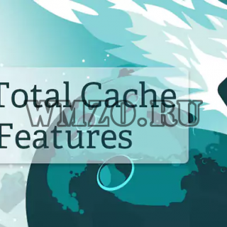 W3 Total Cache Pro v2.3.1 NULLED - плагин кэширования WordPress