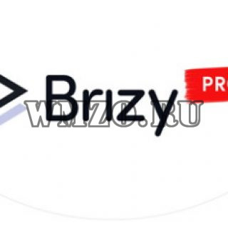 Brizy Pro v2.4.10 NULLED - конструктор страниц WordPress