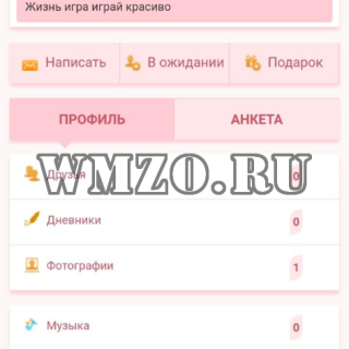 Pink - Дизайн для Dcms-social