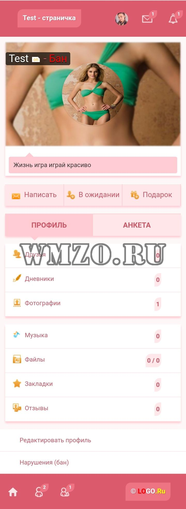 Pink - Дизайн для Dcms-social