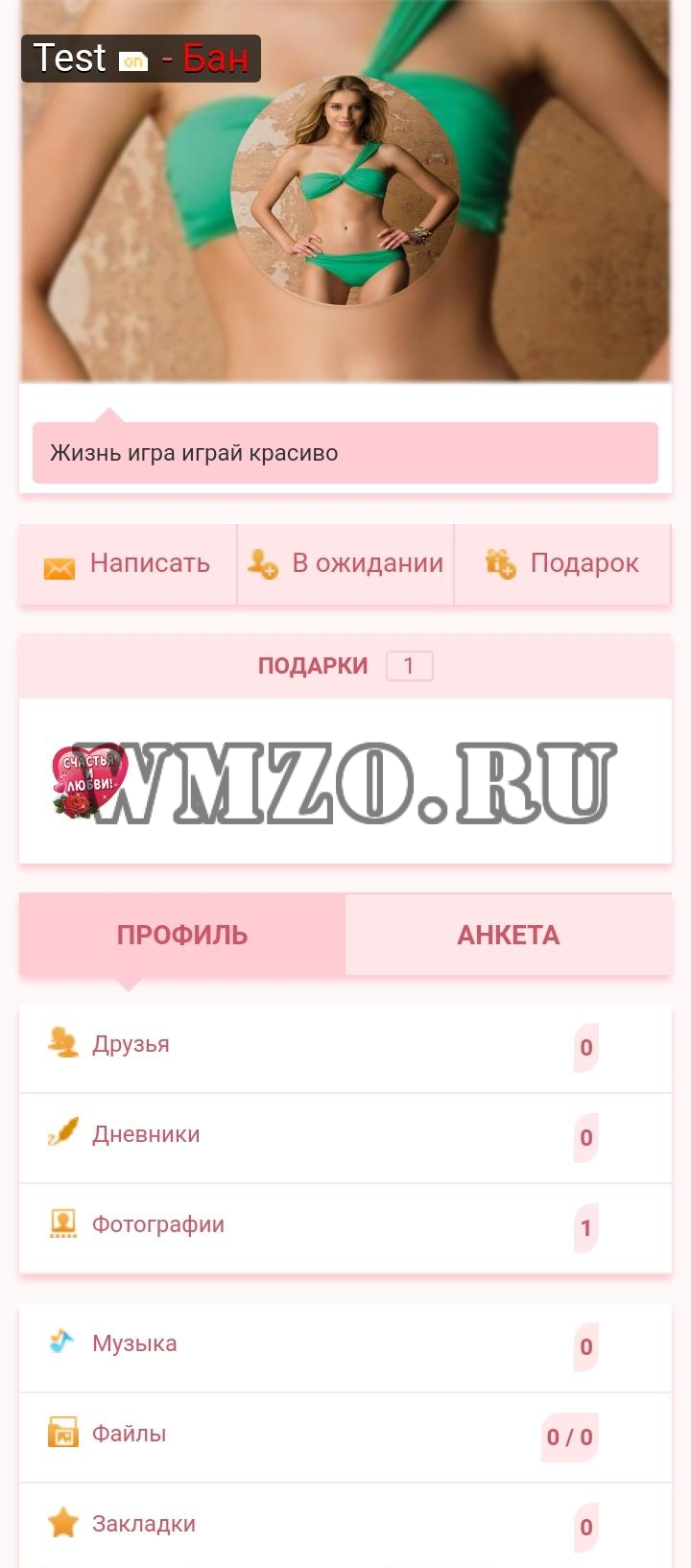 Pink - Дизайн для Dcms-social